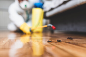 Cockroach Extermination in Westfield, New Jersey by Bug Out Pest Solutions, LLC